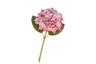 SILK HYDRANGEA WHITE/PINK 14X45CM NM