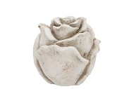 CONCRETE SAINT ANTIQUE ROSE 11X11X11CM