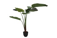SILK STRELITZIA GREEN 159CM NM