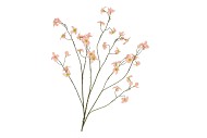 SILK BUTTERCUPS PEACH 100CM NM