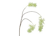 SILK WISTERIA GREEN 93CM NM