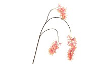 SILK WISTERIA PEACH 93CM NM