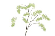 SILK WISTERIA GREEN 130CM NM