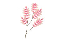SILK SALIX LEAF SMALL PINK/CHAMPAGNE 90CM