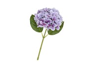 SILK HYDRANGEA BLUE/PURPLE 14X45CM NM