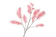 SILK SALIX LEAF PINK/CHAMPAGNE 135CM NM