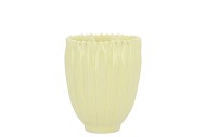 BLOOM DAISY DREAMY YELLOW CUP 8X8X9CMV NM