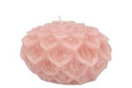 CANDLE DAHLIA OLD LIGHT PINK 12X8CM NM