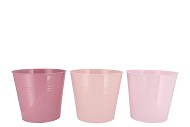 ZINC SUMMER PINK MIX BUCKET BASIC ASS 19X18X15CM NM