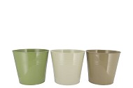 ZINC SUMMER GREEN MIX BUCKET BASIC ASS 19X18X15CM NM