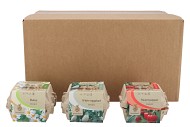 GREENGIFT DAISY EGGPLANT SWEET PEPPER MIX CARTON 11X8CM NM