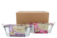 GREENGIFT LAVENDER COSMOS MIX ZINC 10X28X10CM NM