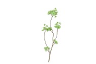 SILK CHERRY BLOSSOM GREEN 85CM