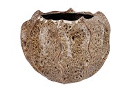 MIKA WILD BROWN POT WAVY 29X20CM