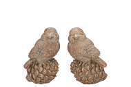 CONCRETE GOLDEN BIRDS ASS 9X7X13CM