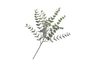 SILK EUCALYPTUS GREEN STEM 51CM