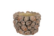CONCRETE SCOTTISH BROWN PINECONE POT 15X15X10CM