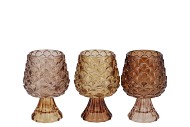 JAZZ SCOTTISH BROWN T-LIGHT PINECONE ASS 9X13CM