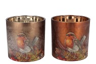 RUBY SCOTTISH BROWN T-LIGHT BIRD ASS 15X15CM