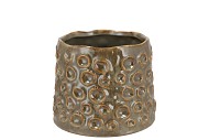 ALORA MAJESTIC GREEN POT 13X13X11CM