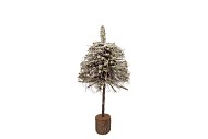 FESTIVE TREE POPLAR MOSS WITH SNOW 20X20X50CM
