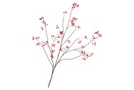 SILK BERRY BLOSSOM RED 135CM