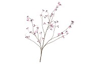 SILK BERRY BLOSSOM BLUE 135CM