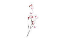 SILK BERRY BLOSSOM RED 95CM