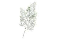 SILK FERN MAIDEN HAIR GREEN SNOWY 137CM