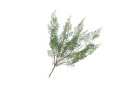 SILK FERN FOREST BRANCH GREEN SNOWY 76CM