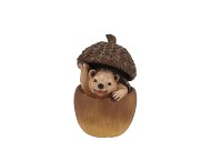 WONDERLAND HEDGEHOG ACORN SCOTTISH BROWN 8X7X10CM