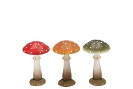 WONDERLAND MUSHROOM SCOTTISCH SPICE AMANITA ASS 11X11X18CM