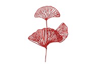 PICK SHINE LOTUS JOLLY RED 40CM P/12 NM