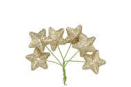 PICK SHINE STAR COZY GOLD 4X7CM P/96