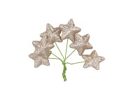 PICK SHINE STAR COZY CHAMPAGNE 4X7CM P/96