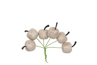 PICK SHINE APPLE COZY CHAMPAGNE 3X7CM P/72