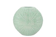 SHELLA GREEN VASE 23X8X23CM