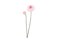 SILK ZINNIA PINK 54CM NM
