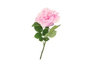 SILK WILD ROSE PINK SINGLE 65CM NM