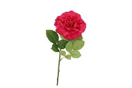 SILK WILD ROSE RED SINGLE 65CM NM