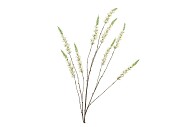 SILK CAMPANULA CREAM SINGLE STEM 146CM NM