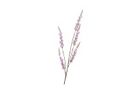 SILK CAMPANULA PURPLE SINGLE STEM 104CM NM