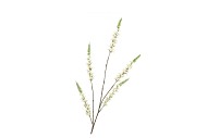 SILK CAMPANULA CREAM SINGLE STEM 104CM NM