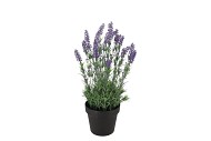 SILK LAVENDER PURPLE IN POT BLACK M 21X21X32CM NM