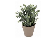 SILK EUCALYPTUS GREEN IN POT TERRA  L 30X30X40CM NM