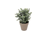 SILK EUCALYPTUS GREEN IN POT TERRA S 18X18X19CM NM