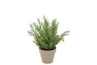SILK CYPRESS GREEN IN POT TERRA S 18X18X21CM NM