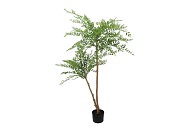 SILK SOPHORA TREE GREEN 158CM