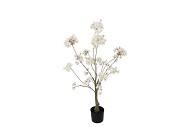 SILK CHERRY BLOSSOM TREE WHITE 90CM