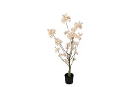 SILK CHERRY BLOSSOM TREE CHAMPAGNE 90CM